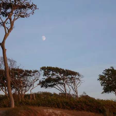 Apartamento Am Bernsteinweg *